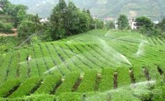 你知道怎么有效的節(jié)水灌溉嗎？